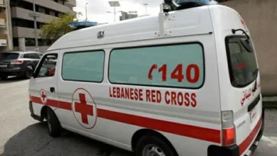 Red Cross7