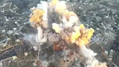 Screenshot 20241116 110218