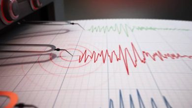 088b0e71 d9a3 4d65 a5ae 779a716de0a2