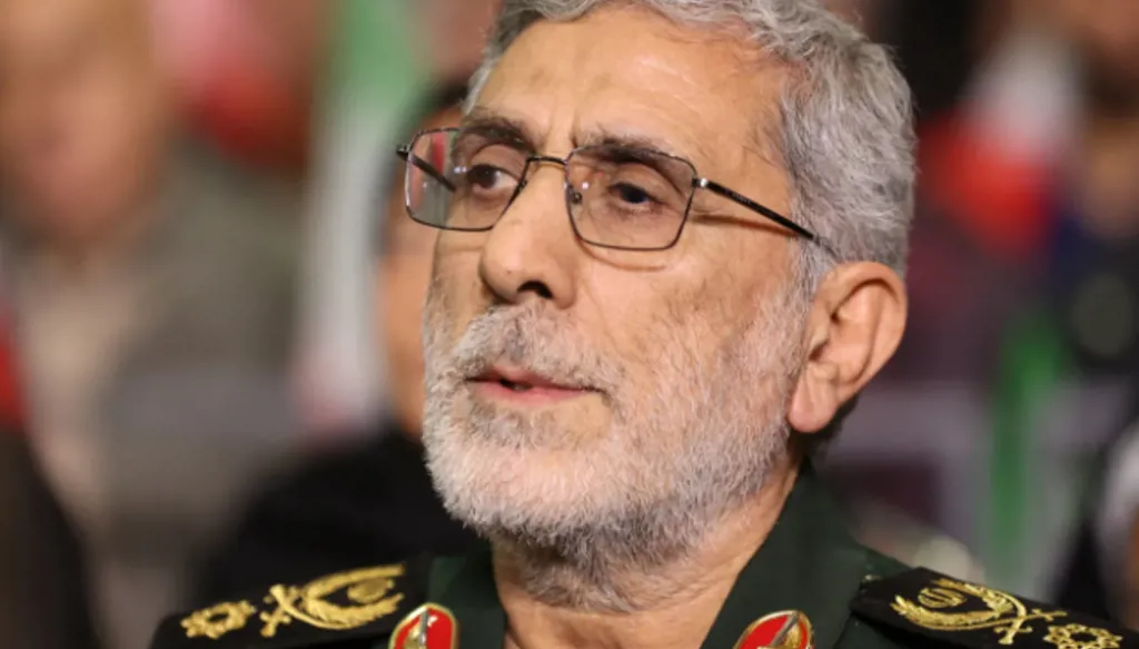 Screenshot20260307113936 120339 large