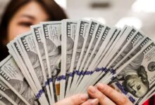 Dollar rdvbjg47qxk5720ud0kiawq6kv5yctaa5j0jmlp3q8 rk1opmmoveprbrilh2t4e4oofq5t2gg42otr5x69sw