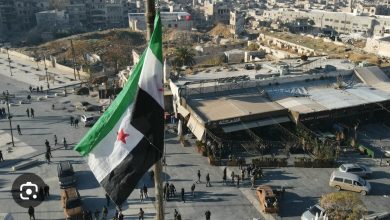 Screenshot 20241208 083659 Google