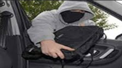 Screenshot 20241228 124205 Google